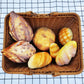 Light Weight Rattan Storage Basket