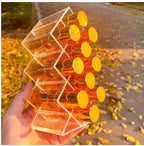 10 Grid Acrylic Lipstick Organizer